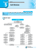 Cell division sample.PDF